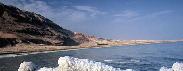 Dead Sea Salt Ormus Minerals